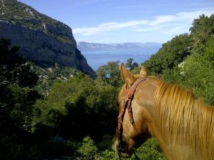 Vacanze a cavallo in Sardegna