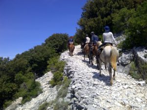 Vacanze a cavallo in Sardegna